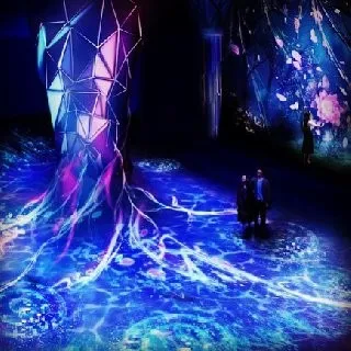 前後半でイベントが変わる!