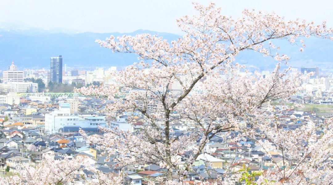 福島応援オンラインお花見
