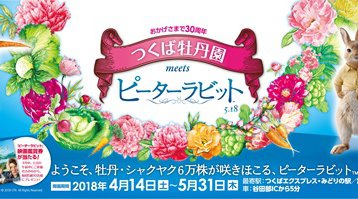 国内最大級の牡丹園「つくば牡丹園」が4月1日~開園!30周年記念!世界中で人気の映画『ピーターラビット™』とコラボ