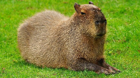 【上野動物園 東京 婚活イベント 趣味コン】上野動物園コン◆気軽に参加できるグループデート感が人気◆趣味コン★連絡先交換OK♪