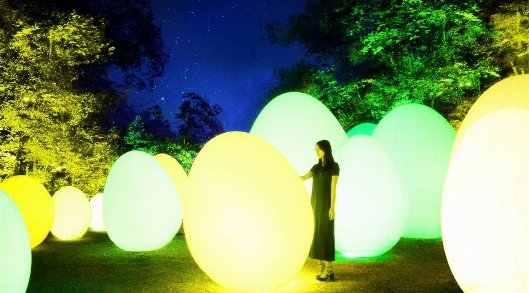 【JR上野駅看板前発 婚活バスツアー2018】湖畔を彩るデジタルアート「チームラボ 森と湖の光の祭」と甦るヨーロッパの古城!ロックハート城&ケーキ作り体験★連絡先交換OK♪