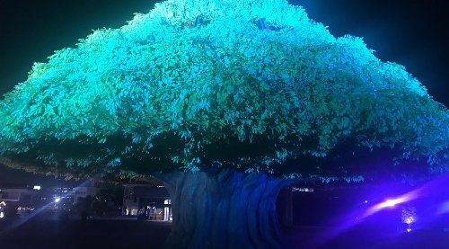 【浅草公会堂 婚活イベント 趣味コン】関東最大級!東京の夜の新しい絶景「TOKYO MEGA ILLUMINATION」鑑賞と新造船「QUEEN EMERALDAS」で隅田川クルーズ★連絡先交換OK★