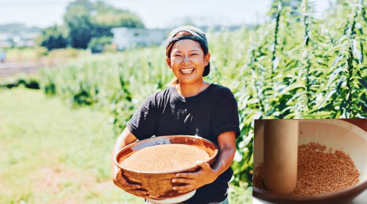 【あなたが国産ゴマを食べるべき7つの理由】~生産者・鈴木香純さんと一緒に楽しむ《だしの和食》居酒屋day