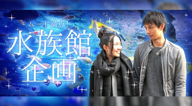 【仙台アニスタ恋活パーティー】水族館で擬似デート♪高身長・公務員・自衛隊歓迎♪恋活PARTY♪|アニスタ|婚活・恋活・友活・街コンのイベント