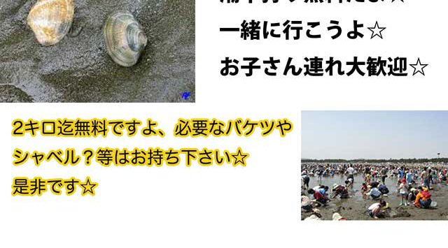 横浜の海の公園で皆で潮干狩り☆海で遊ぶも良し、公園で話すも良しです☆