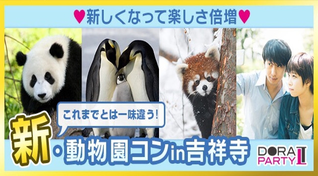 【井の頭動物園】吉祥寺婚活パーティー 20~32歳限定 動物好き大集合 まもなくGWシーズン突入♡同じ趣味の相手だから話題に困りません!動物園デート│吉祥寺・井の頭動物園 イベント・パーティー2018