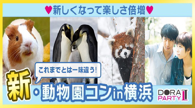 【野毛山動物園】桜木町駅 20~32歳限定 動物好き大集合☆かわいい動物触りたいですよね☆同じ趣味の相手だから話題に困りません!動物園デートコン☆│野毛山動物園 イベント・パーティー 2018