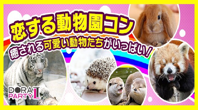 【東武動物園】埼玉 22~35歳限定☆ 女性大人気☆動物好き大集合 ホワイトタイガー見れちゃいます♡同じ趣味の相手だから話題に困りません!アニマル街コン│パーティー 2018