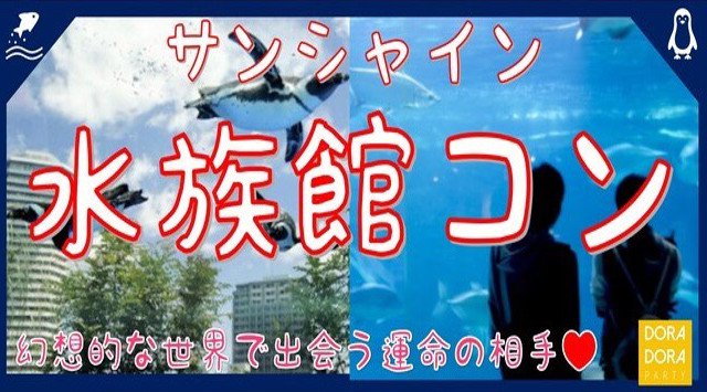 池袋水族館婚活パーティー 20~28歳限定☆ まもなく出会いのクリスマスが訪れる☆ インスタ映え間違えなし☆サンシャイン水族館デート×ゲーム感覚で出会いを楽しめる新感覚街コン パーティー2018