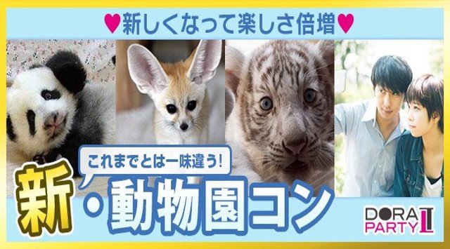 【野毛山動物園】桜木町駅 20~34歳限定 動物好き大集合☆かわいい動物触りたいですよね☆同じ趣味の相手だから話題に困りません!動物園デート恋活│野毛山動物園 イベント・パーティー 2018