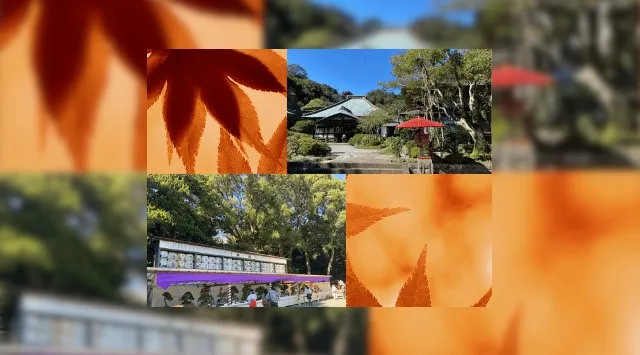 【鎌倉】お散歩オフ会 秋の味覚 食べ歩き 紅葉が綺麗な季節 お散歩会 パワースポット巡り!集合場所 JR鎌倉駅西口改札付近出た付近