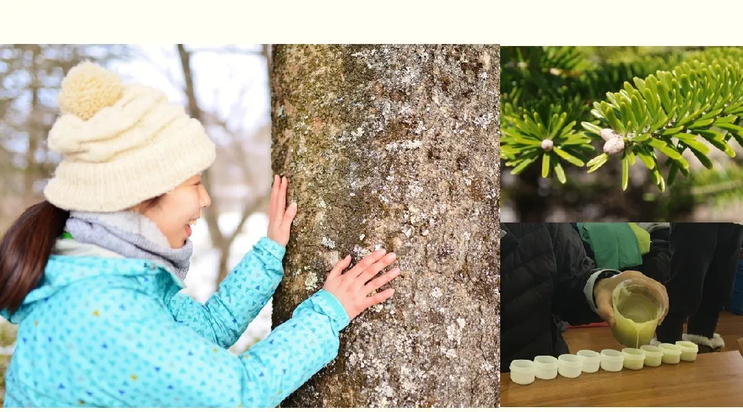 森deリトリート ~モミのハンドクリームづくり~