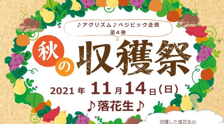 ♪アグリズム♪ベジピック企画【落花生収穫体験】