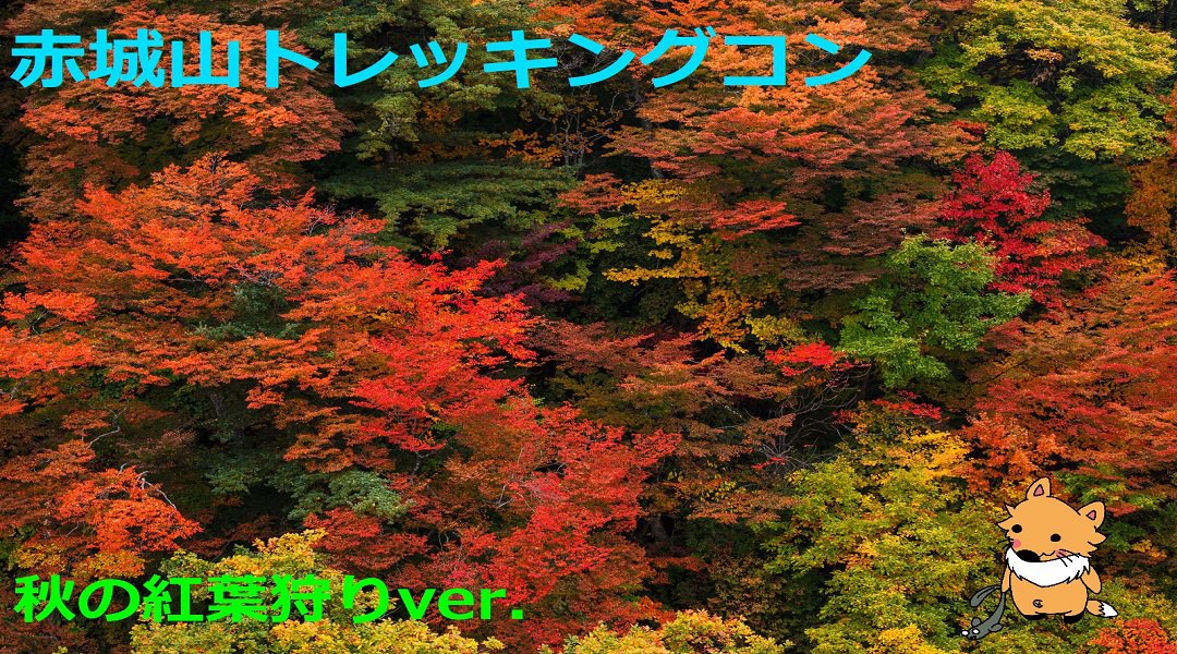★第21回★自然を満喫(^o^)トレッキングコンin赤城山