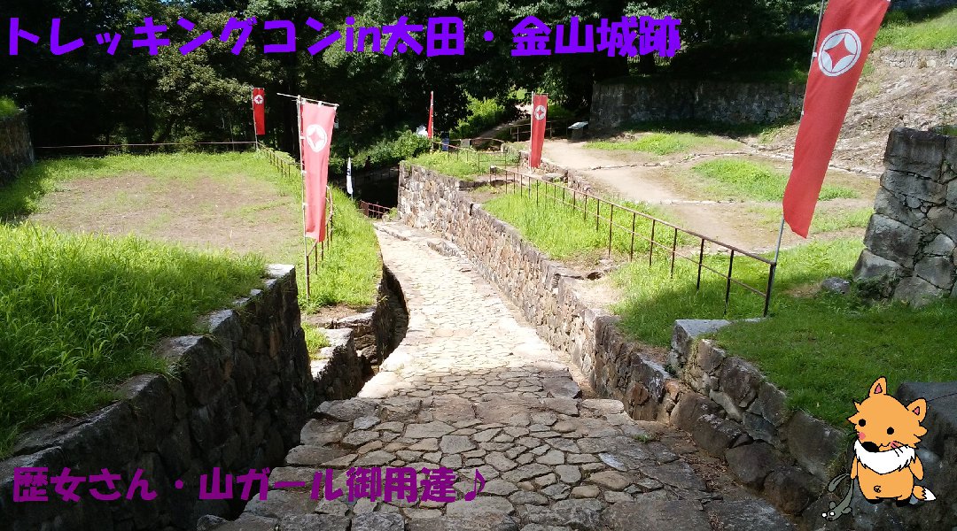 ★第8回★トレッキングコンin太田・金山城跡 初詣ver.