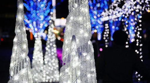 聖なる~クリスマスお見合い婚活~