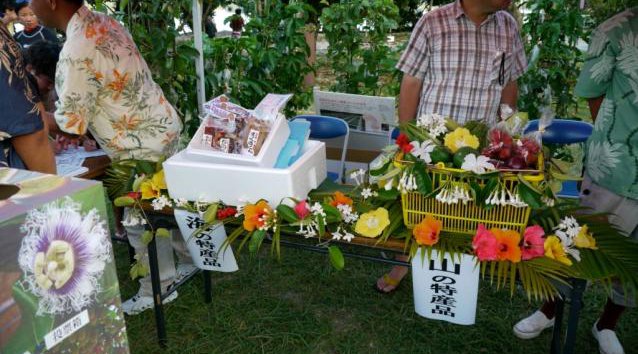返還記念祭花火2019 / 小笠原諸島 お祭り 関東東京夏祭り・花火大会 穴場・チケット・見所・打ち上げ時間 - 関東 東京花火大会 2019