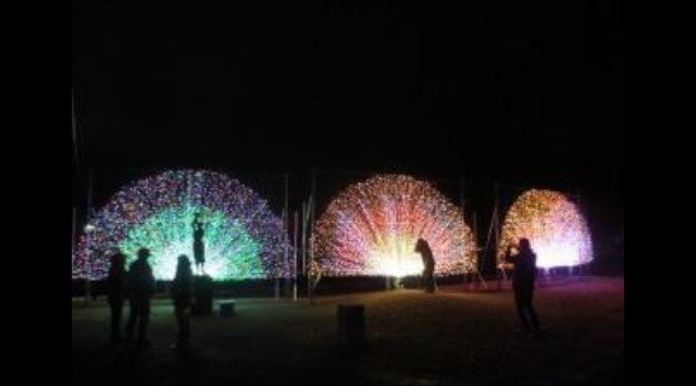 諏訪湖イルミネーション 2019 長野県諏訪市湖岸通り 開催期間・日程・混雑状況 エリアのライトアップ・イルミネーション 2019