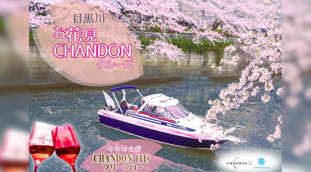 【目黒川お花見CHANDONクルーズ】ご家族で!ご友人と!オープンデッキクルーザーの貸切空間でお楽しみください! 3/20(金)より期間限定の運航致します☆目黒川 お花見 船 クルージング