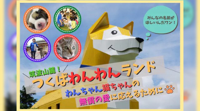 わんちゃん・ねこちゃんの楽園「つくばわんわんランド」を未来につなぎたい!500頭のわんちゃん30頭のねこちゃんに会える「つくばわんわんランド」の未来にご支援をお願いいたします!