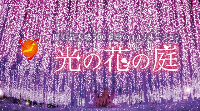 あしかがフラワーパーク イルミネーション 光の花の庭 栃木県足利市迫間町 見所・アクセス・開催情報・時間 イルミネーション2020