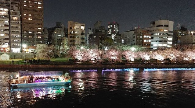 船の上からお花見「大川お花見貸切クルーズ」を 3月20日(土)〜4月18日(日)開催予定!ご予約受付開始しました⭐︎人混みを避けて船の上からお花見!