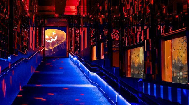 【すみだ水族館】万華鏡トンネルのクラゲ展示が10月1日よりハロウィンバージョンに 「ハロウィン in すみだ水族館」を開催 透けた体でおばけ”のように漂うクラゲの魅力がいっぱい オリックス株式会社