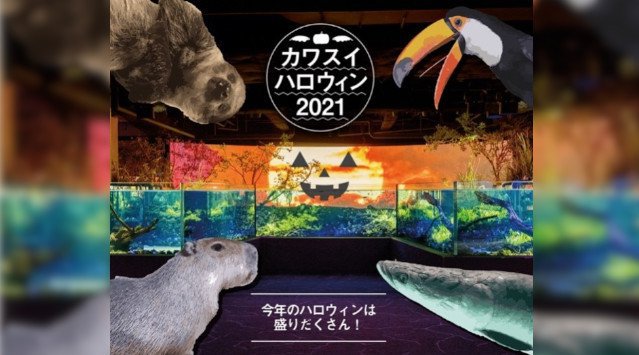 「カワスイハロウィン2021」開催!仮装キャンペーンやハロウィンメニュー、エコな体験プログラムが登場 カワスイ 川崎水族館