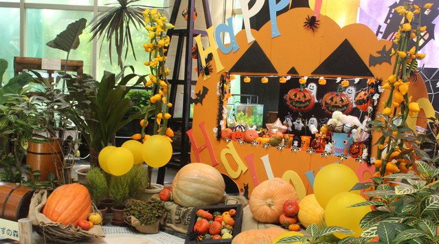 【10月1日より再開園】ハロウィンイメージの特別装飾やイベント開催中(草津市立水生植物公園みずの森)西武造園株式会社