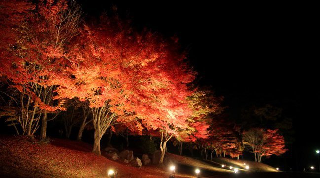 スマホで謎解き×まち巡り!コロナ禍でも非接触「大山山麓の謎解き宝探し」鳥取県中〜西部で10月8日より開催 皆生温泉ペア宿泊券・鳥取和牛・自転車ほか豪華賞品100名以上に当たる!秋の行楽シーズンは謎解き