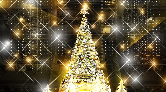 クリスマスデザイナー 長谷川喜美 による冬のインスタレーション本格的クリスマスシーズンを前に、全国各地で続々スタート きらめく光で魅せるツリーやイルミネーション、あなたはどれを見たいですか?