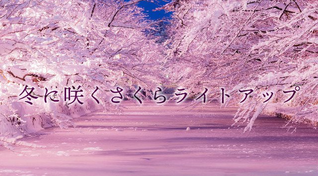 冬に咲くさくらライトアップ イルミネーション2021 弘前公園 開催期間・日程・混雑状況 エリアのライトアップ・イルミネーション 2021