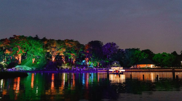 光と音楽で心弾むアートな非日常空間を YohaS 2022 Blooming NIGHTS 千葉公園にて開催 株式会社拓匠開発