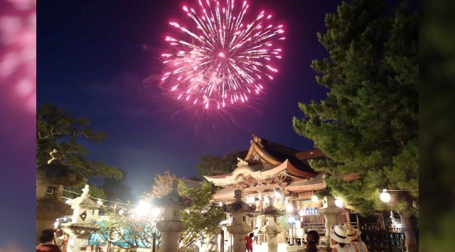 白鳥神社夏越祭 花火大会2025 香川県東かがわ市松原 - 伝統行事・日程・見どころ・混雑状況・開催場所 - 夏祭り 花火大会