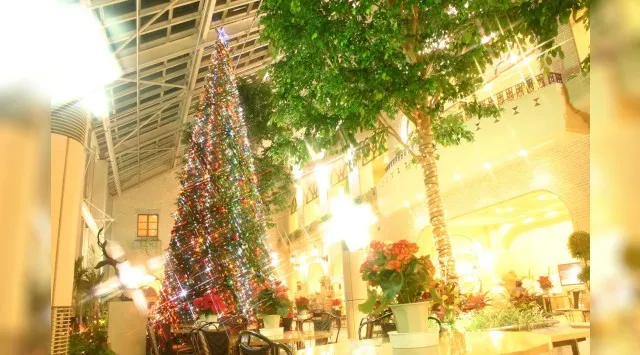 淡路島で最速のクリスマスツリー、2025年11月1日(土)点灯!高さ9mの淡路島内最大級クリスマスツリーが淡路ハイウェイオアシスに登場!明石海峡大橋を渡ってすぐ、関西屈指の“最速クリスマス”スポットへ