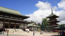 成田山表参道と新勝寺出会い散策