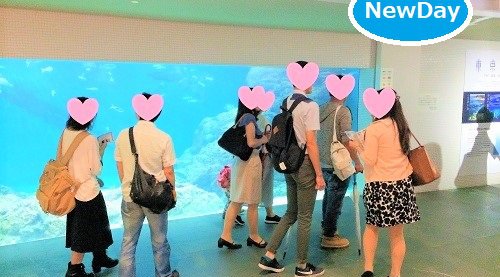 ★1/6 葛西臨海水族園めぐりの恋活・友達作り★