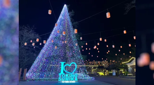 550万球の光が織りなす幻想。時之栖イルミネーション2025-2026「ひかりのすみか」が10月11日(土)より開催決定!!「マジックフォレスト」をテーマに、音と光が織りなす空間!!株式会社時之栖