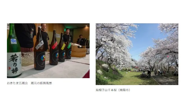山形県置賜地域の桜と酒蔵を1日で巡るプレミアムツアー「おきたま酒蔵(さくら)回廊」4/18に開催!毎年恒例のおきたま五蔵会の酒蔵を巡り、置賜の桜の名所を巡る大人気ツアー!