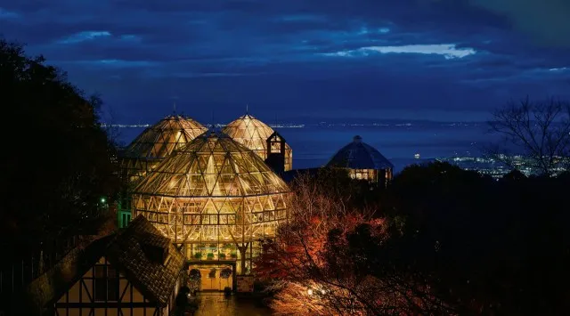 神戸クリスマスマーケット「古城のクリスマス」のシンボル「クリスマスタワー」が高さ7メートルに拡大!11/8(土)に点灯セレモニーを開催。「森のクリスマスツリー」の点灯セレモニーも同日開催。