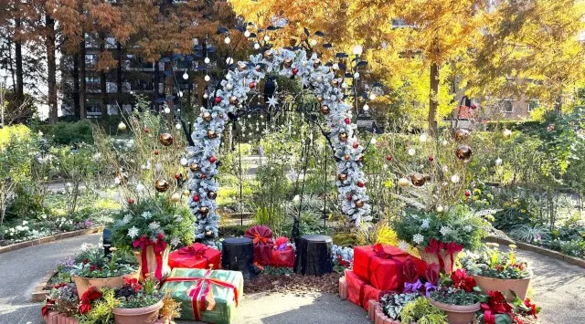 「練馬区立 四季の香ローズガーデン」ガーデンイルミネーション開催/温かな光で冬のローズガーデンを包み込む 2025年12月1日(月)~12月25日(木)入園無料 第一園芸株式会社