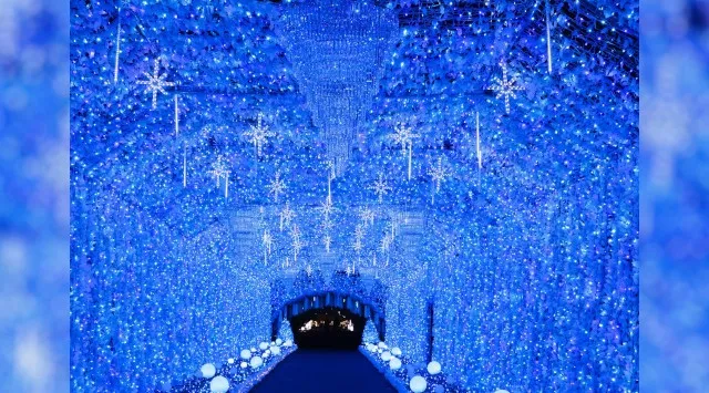 550万球の光が織りなす幻想。時之栖イルミネーション2025-2026「ひかりのすみか」が10月11日(土)より開催決定!!「マジックフォレスト」をテーマに、音と光が織りなす空間!!株式会社時之栖