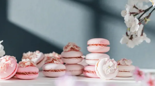 【BEB5土浦】360°桜に包まれる絶景を川面から独り占め!「お花見水上サイクリング」今年も開催