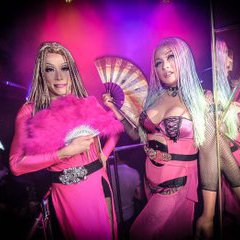 SAVE THE STELLAJAPAN : 写真