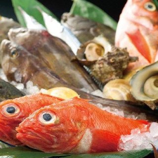 恵比寿 九州の味 ご飯オフ会 : 写真