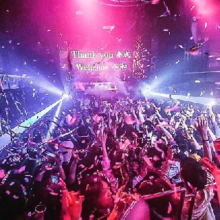 SAVE THE STELLAJAPAN : 写真