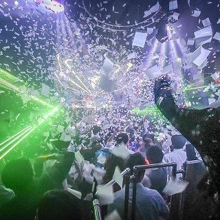 SAVE THE STELLAJAPAN : 写真