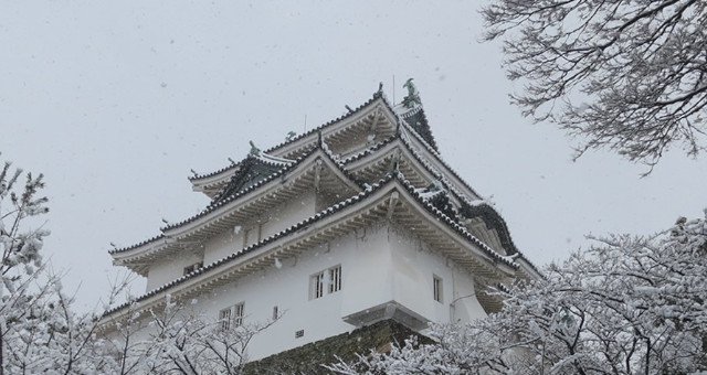 史跡 和歌山城 - WAKAYAMA CASTLE :