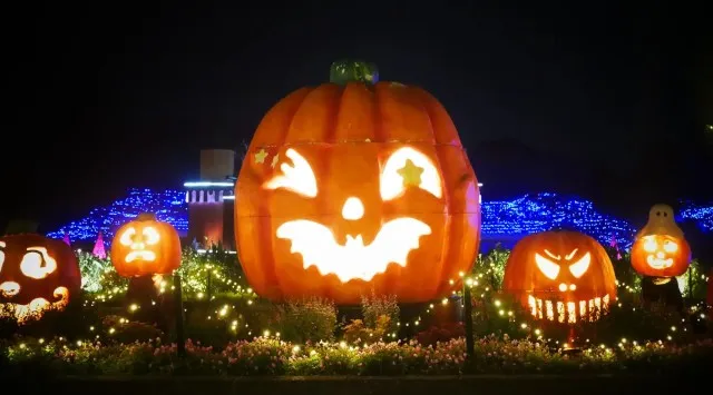 「森のハロウィンナイト」開催します(国営武蔵丘陵森林公園)~光り輝く森林公園~ 一般財団法人 公園財団 Parks Japan.F