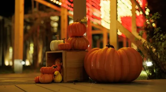 紅葉シーズンの軽井沢で楽しむハロウィンイベント開催~ランタンづくりやソーシャルアワーなど地域と人がつながるハロウィン~ホテルインディゴ軽井沢